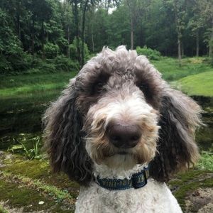 Meet your Posher, Margaret
